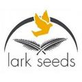 Lark Seeds