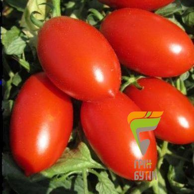 Насіння томата Умекс F1, ранній, Syngenta, Нідерланди, 20 шт.