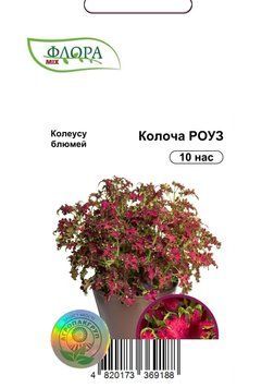 Семена цветов Колеус Колоча Роуз, Cerny, Чехия, 10 шт.