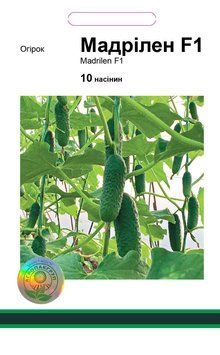 Насіння огірка Мадрілен F1, Seminis, Нідерланди, 10 шт.