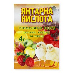 Янтарна кислота 4 г.