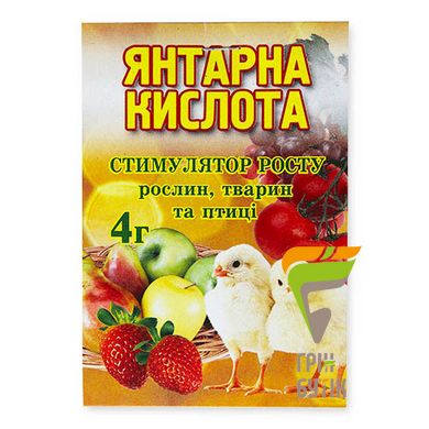 Янтарна кислота 4 г.