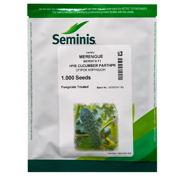 Семена огурца Меренга F1, Seminis, Нидерланды, 1000 шт.