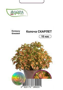 Семена цветов Колеус Колоча Скарлет, Cerny, Чехия, 10 шт.