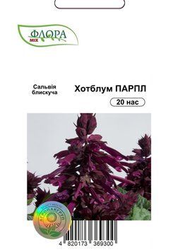 Семена цветов Сальвия Хотблум Парпл, Cerny, Чехия, 20 нас