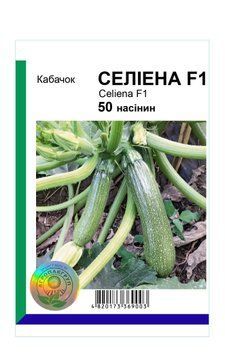 Насіння кабачка Селіена F1, Syngenta, Нідерланди, 50 шт.