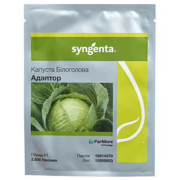 Семена капусты белокочанная Адаптор F1, Syngenta, Нидерланды, 2500 шт.