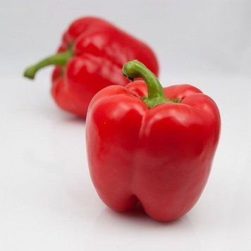 Семена сладкого перца Экла F1 , Syngenta, Нидерланды, 500 шт.