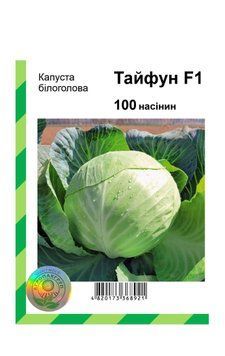 Насіння капусти білоголова Тайфун F1, Bejo, Нідерланди, 100 шт.