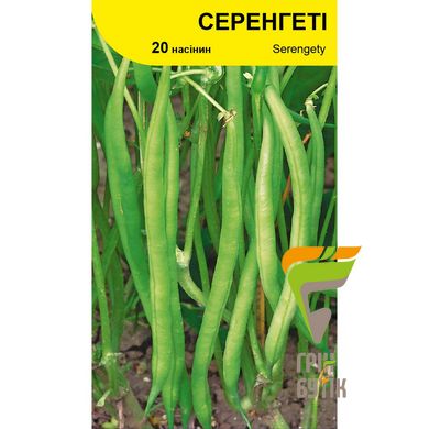 Насіння квасолі спаржевої Серенгеті, Syngenta, Нідерланди, 20 шт.