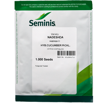 Семена огурца Надежда F1, Seminis, Нидерланды, 1000 шт.