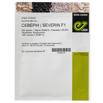Семена огурца Северин F1, Enza Zaden, Нидерланды, 500 шт.