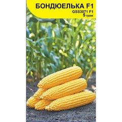 Семена кукурузы Бондюэлька GSS 3071 F1, Syngenta, Швейцария, 5 г.