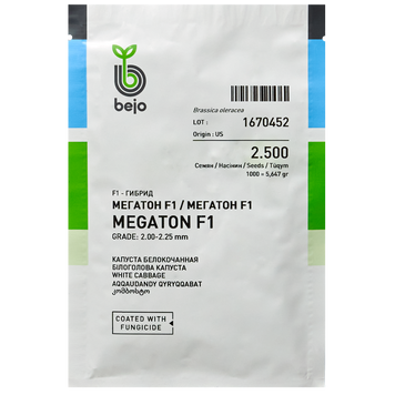 Насіння капусти білоголова Мегатон, Syngenta, Нідерланди, 2500 шт.