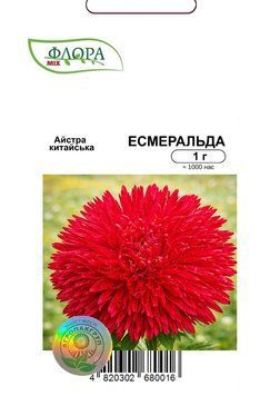 Семена цветов Астра Эсмеральда, Cerny, Чехия, 1 г.