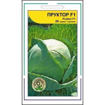 Семена капусты белокочанная Пруктор F1, Syngenta, Нидерланды, 20 шт.