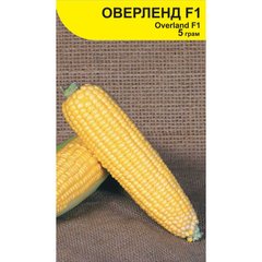 Семена кукурузы Оверленд F1, Syngenta, Нидерланды, 5 г.