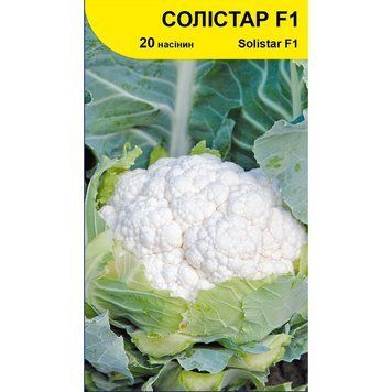 Семена капусты цветная Солистар F1, Syngenta, Нидерланды, 20 шт.