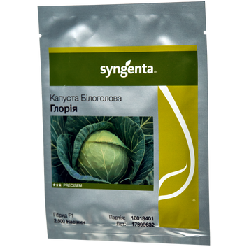Семена капусты белокочанная Глория, Syngenta, Нидерланды, 2500 шт.