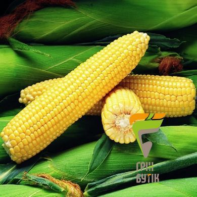 Семена кукурузы Оверленд F1, Syngenta, Нидерланды, 50 г.