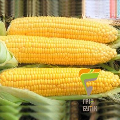 Семена кукурузы Оверленд F1, Syngenta, Нидерланды, 50 г.