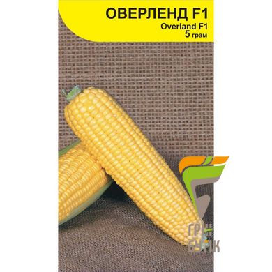 Насіння кукурудзи Оверленд F1, Syngenta, Нідерланди, 5 г.