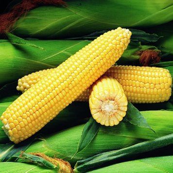 Семена кукурузы Оверленд F1, Syngenta, Нидерланды, 50 г.