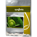 Семена капусты белокочанная Мирор F1, Syngenta, Нидерланды, 2500 шт.