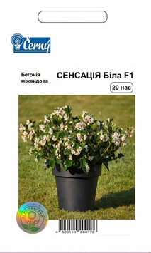 Семена цветов Бегония Сенсация, белая, Cerny, Чехия, 20 шт.
