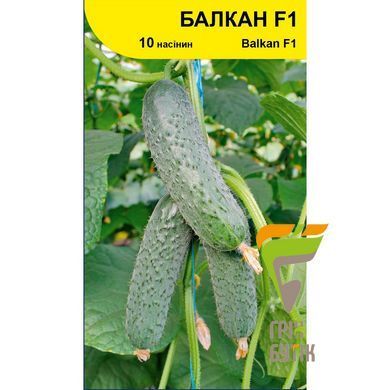 Семена огурца Балкан F1 (Balkan), Syngenta, Нидерланды, 10 шт.