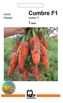 Семена моркови Кумбре F1, Nunhems, Нидерланды, 1 г.