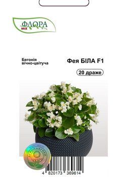 Семена цветов Бегония Фея, белая, Cerny, Чехия, 20 шт.