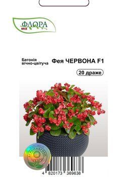 Семена цветов Бегония Фея, красная, Cerny, Чехия, 20 шт.