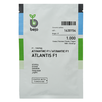 Насіння огірка Атлантіс F1, Bejo Zaden, Нідерланди, 1000 шт.